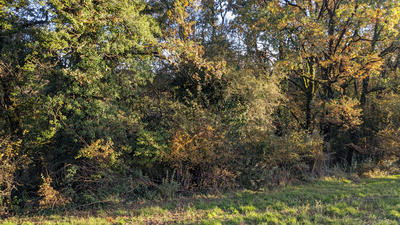 Terrain agricole - 58 891 m²