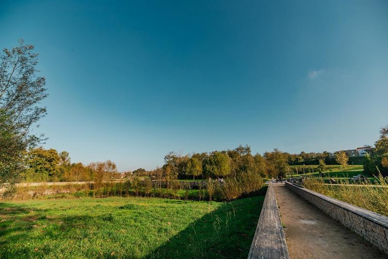 Découverte d’une zone humide en plein cœur de ville