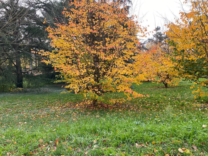 Appartement - 108 m² - 5 pièces