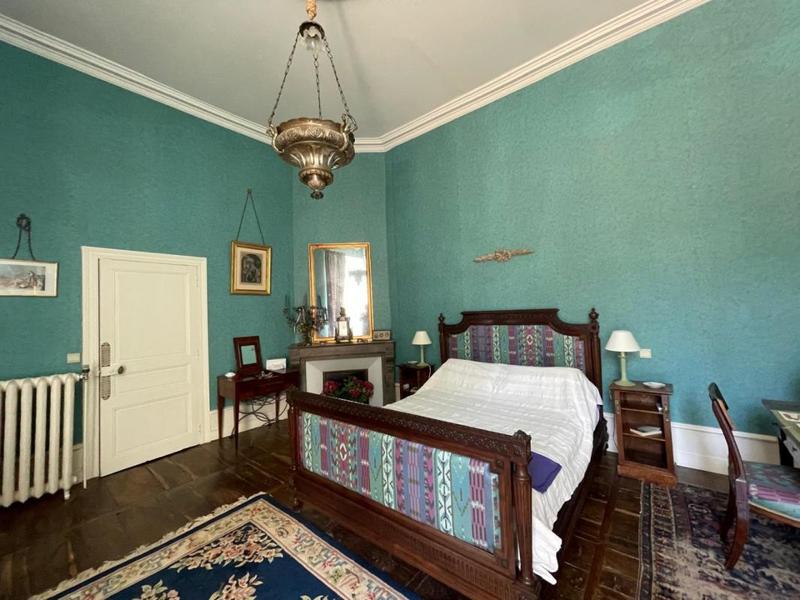 Château - 870 m² - 43 pièces