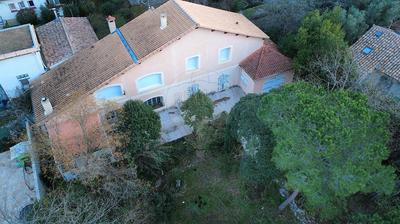 Bureau - 250 m² - 6 pièces