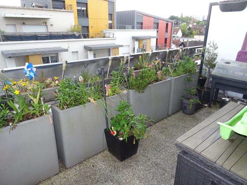 Appartement - 70 m² - 3 pièces