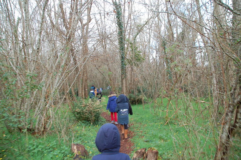 Que nous racontent les fossiles