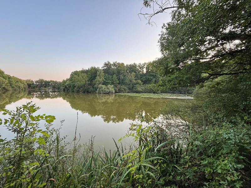 Terrain de loisirs - 43 162 m²