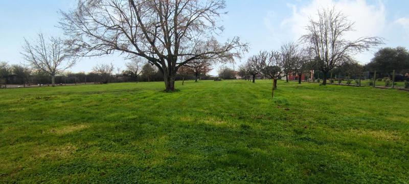 Terrain constructible - 3 846 m²