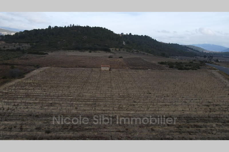 Terrain agricole - 8 710 m²