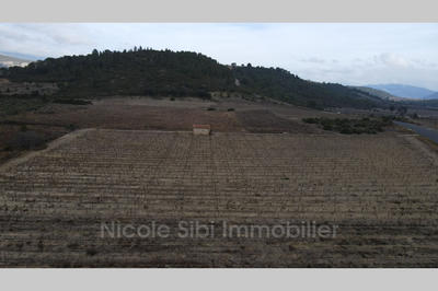 Terrain agricole - 8 710 m²