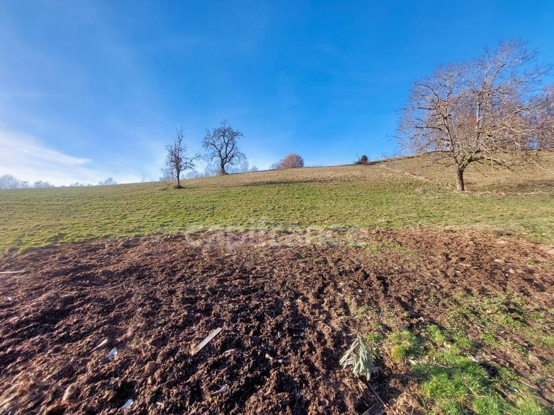 Grange - 350 m² - 3 pièces