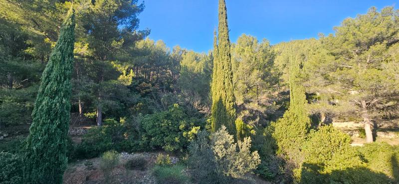 Maison - 162 m² - 9 pièces