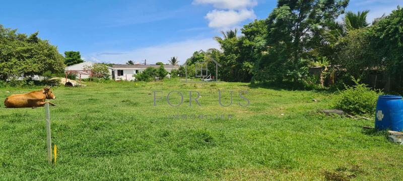 Terrain constructible - 781 m²