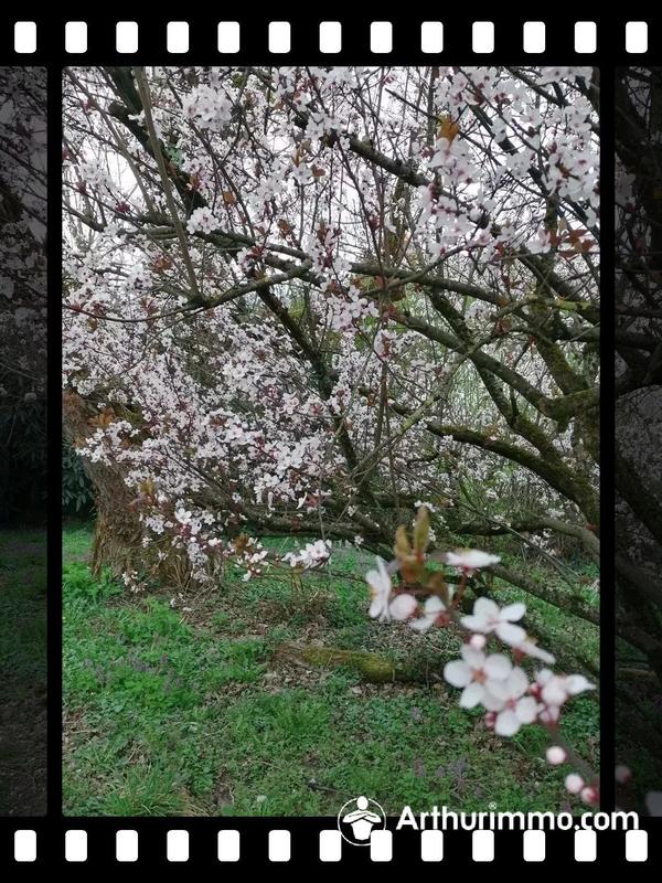 Bureau - 135 m² - 6 pièces