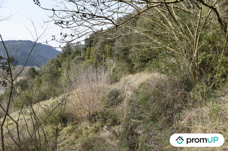 Terrain agricole - 2 780 m²