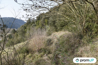 Terrain agricole - 2 780 m²