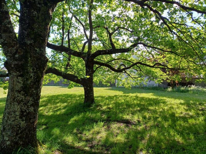 Terrain constructible - 1 644 m²