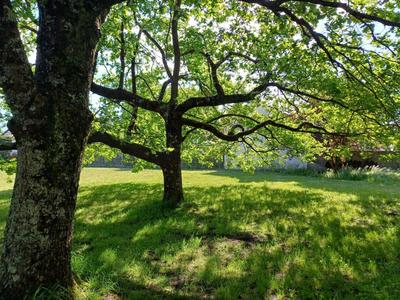 Terrain constructible - 1 644 m²