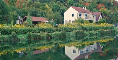 Viager - Maison - 140 m² - 6 pièces