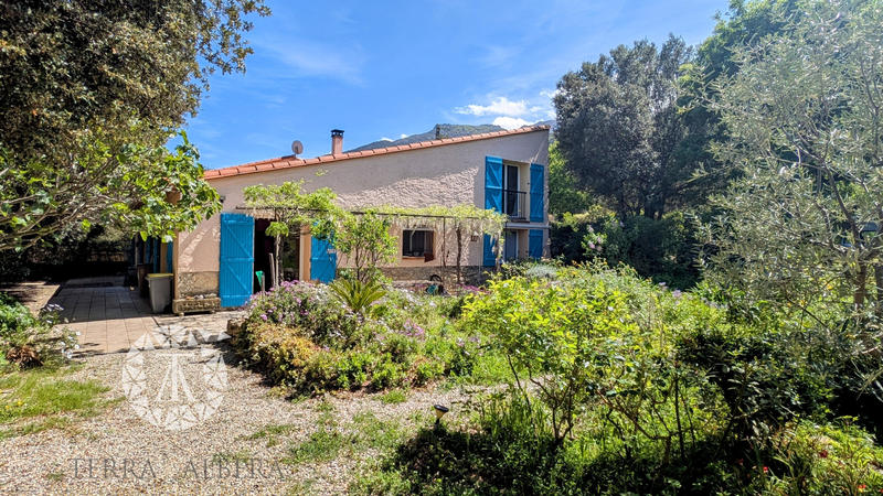 Mas - 239 m² - 6 pièces