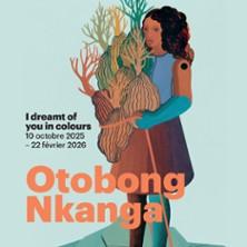 Otobong Nkanga