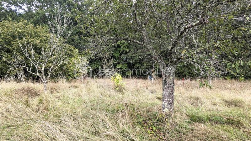 Terrain constructible - 1 447 m²