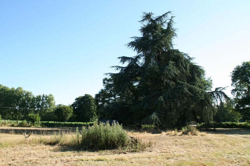 Maison - 104 m² - 6 pièces