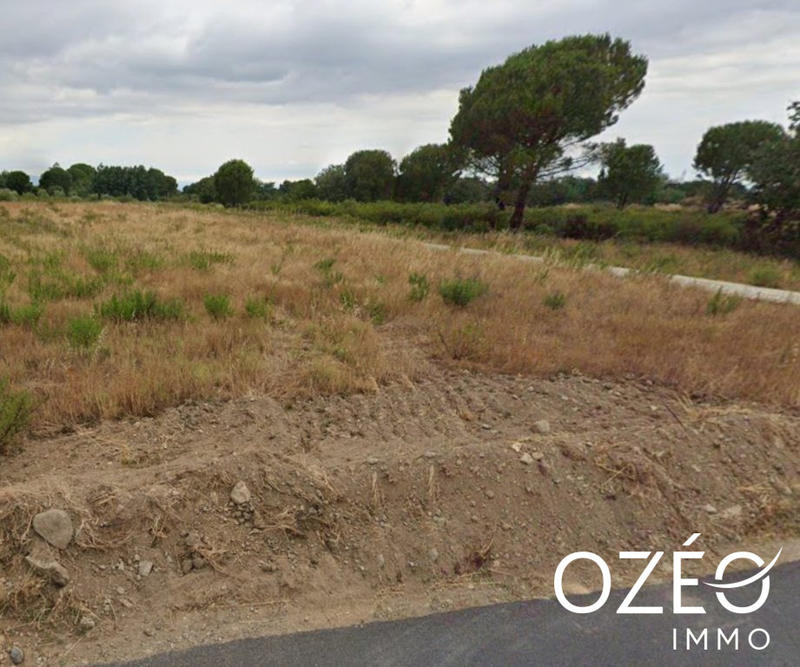 Terrain agricole - 10 687 m²
