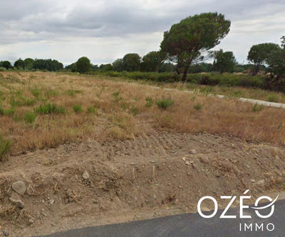 Terrain agricole - 10 687 m²