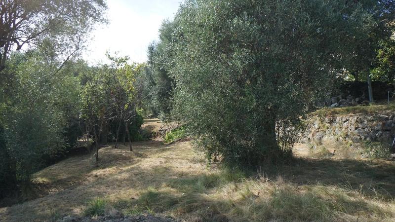 Terrain constructible - 2 000 m²