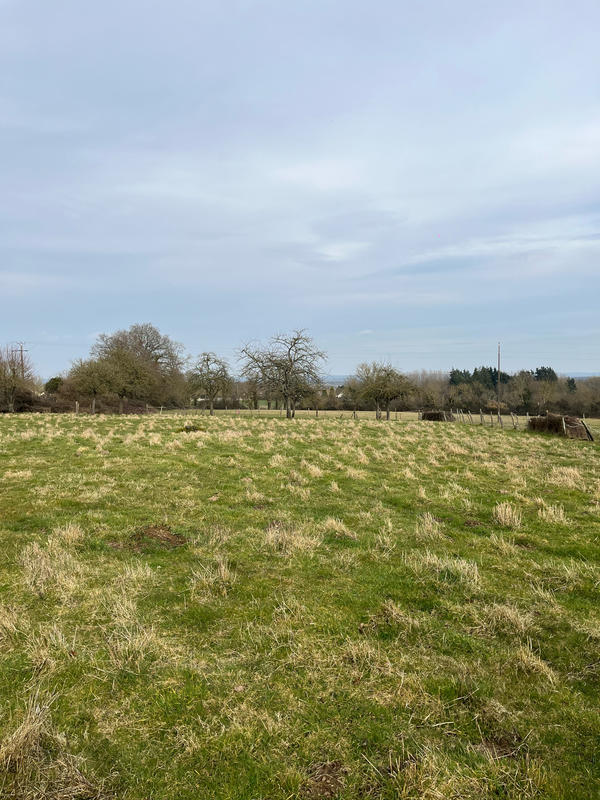 Maison ancienne - 95 m² - 4 pièces