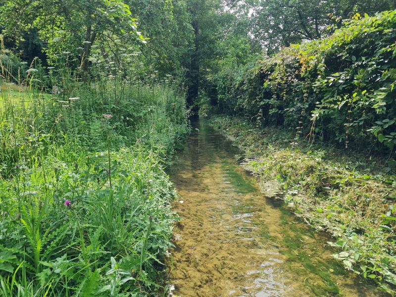 La richesse faunistique du marais de la vallée de l’Aure.