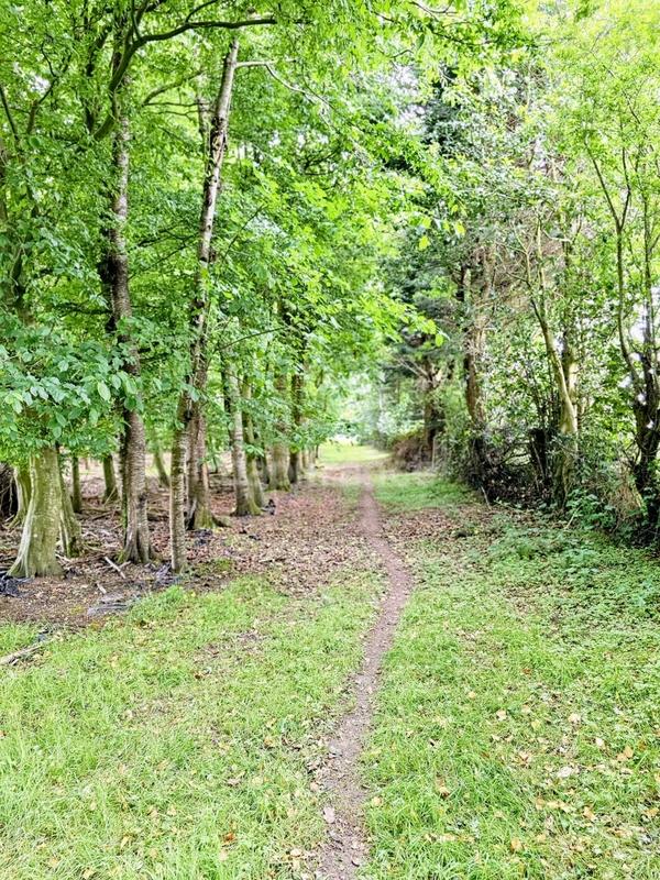 Corps de ferme - 227 m² - 5 pièces