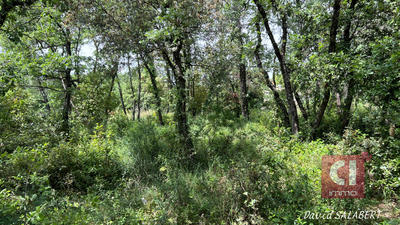 Terrain - 944 m²