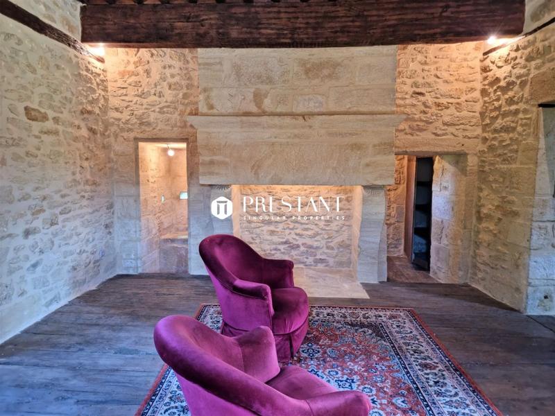 Maison de domaine - 540 m² - 18 pièces