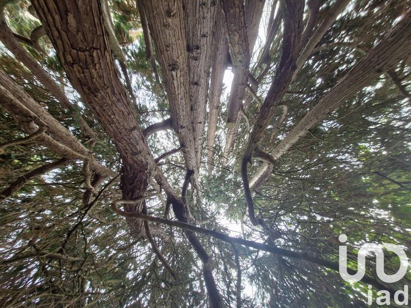 Maison - 350 m² - 13 pièces