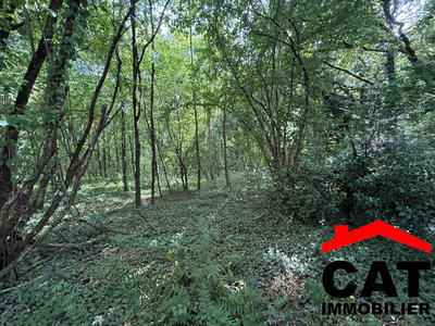 Terrain de loisirs - 3 785 m²