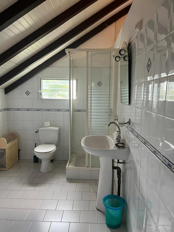 Maison - 250 m² - 5 pièces