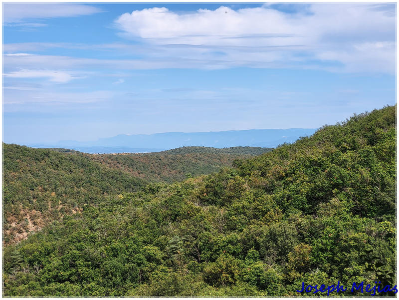 Propriété - 240 m² - 9 pièces