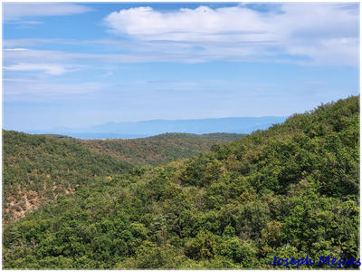 Propriété - 240 m² - 9 pièces