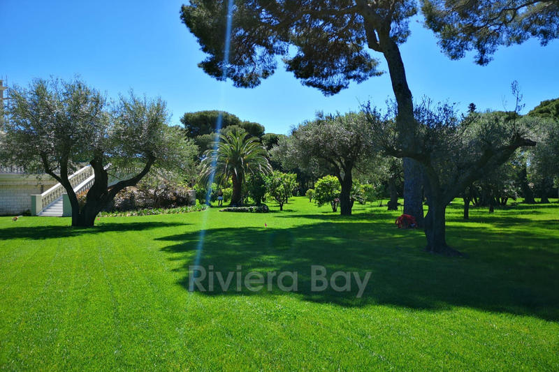 Propriété - 1 100 m² - 14 pièces