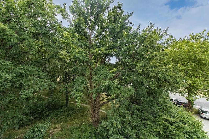 Studio - 24 m² - 1 pièce