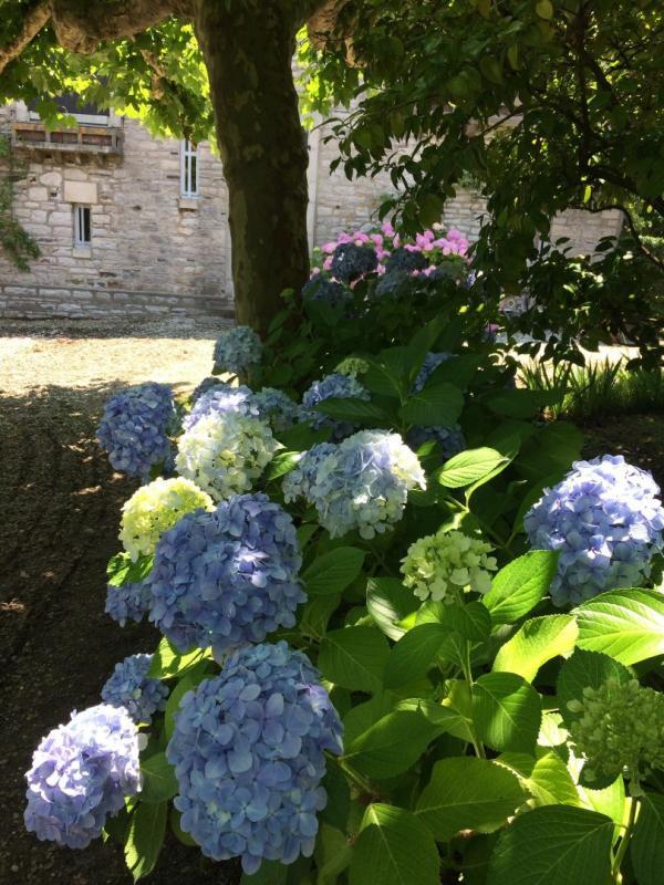 Propriété - 225 m² - 8 pièces