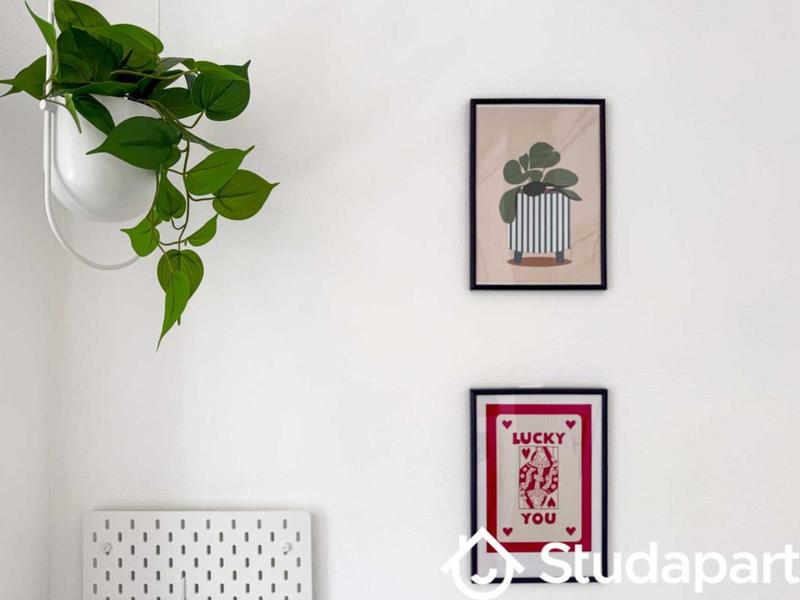 Appartement - 85 m² - 1 pièce