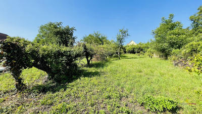 Terrain - 1 193 m²