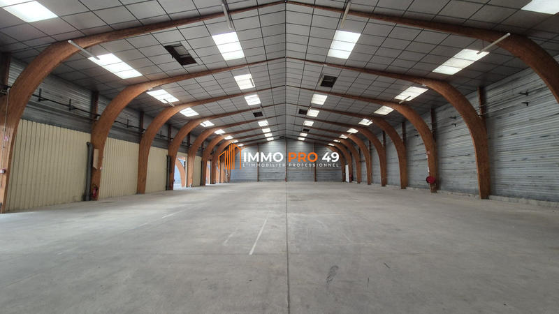 Entrepôt - 3 000 m²