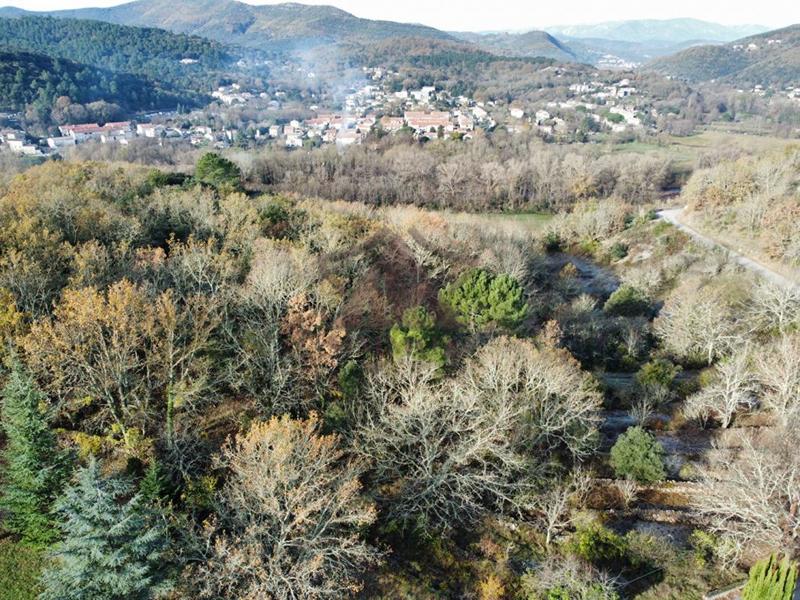 Terrain constructible - 6 000 m²