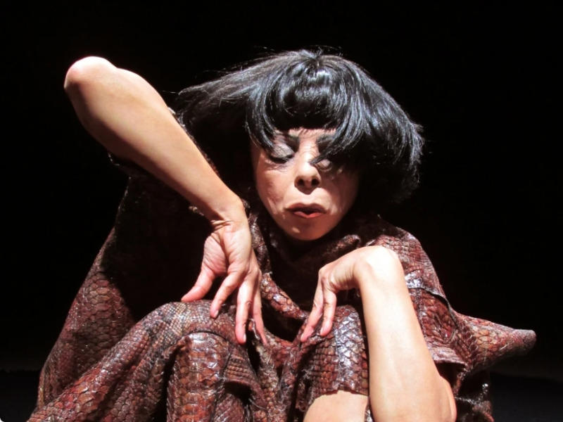 Ecran Somnambule, par Latifa Laâbissi