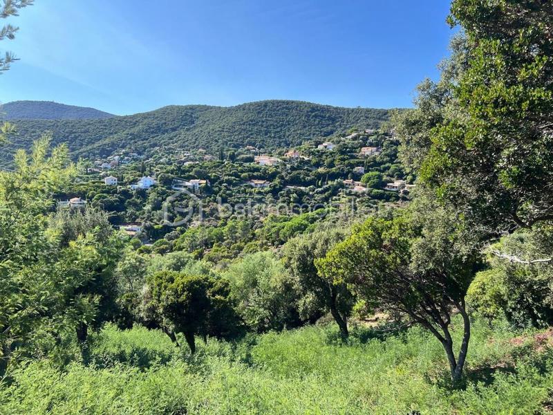 Terrain constructible - 1 198 m²