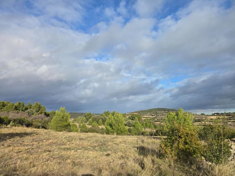 Terrain agricole - 8 540 m²