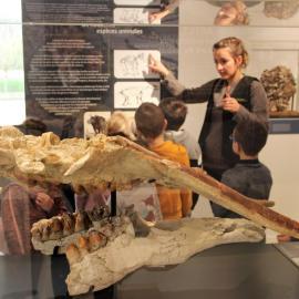 Lecture et Visite Spéciale Enfant