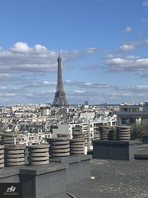 Appartement - 271 m² - 6 pièces