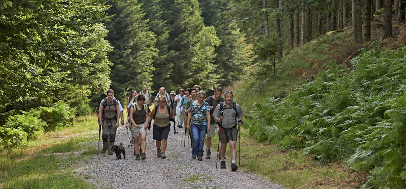 Sentiers Plaisir : au fil de l'eau